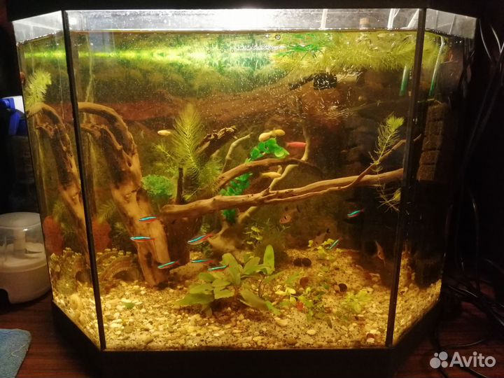 Аквариум 60л
