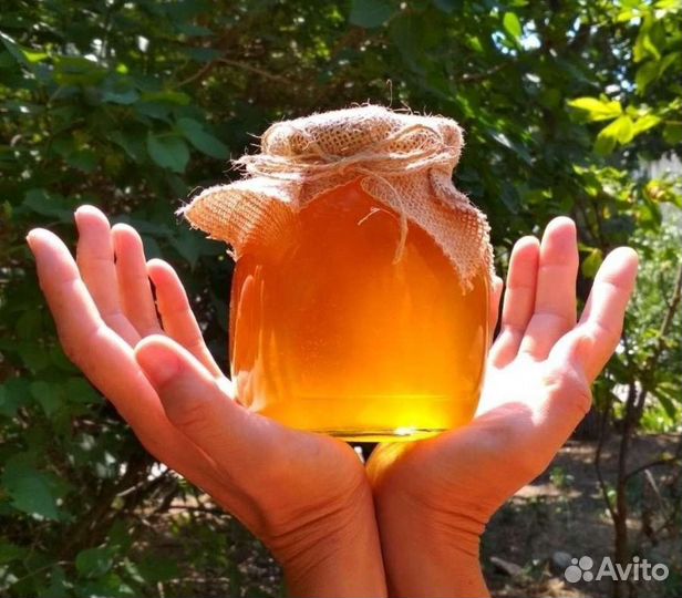 Мед крымский дачный 2023