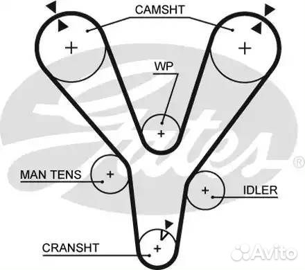 Ремень грм hyundai sonata EF 04- (тагаз) /tucson 0