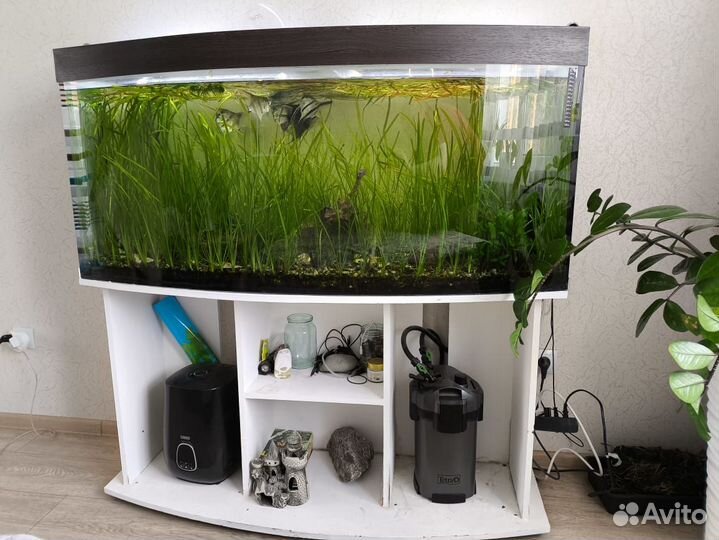 Продам аквариум с рыбками