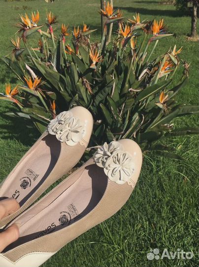 Новые туфли softwaves