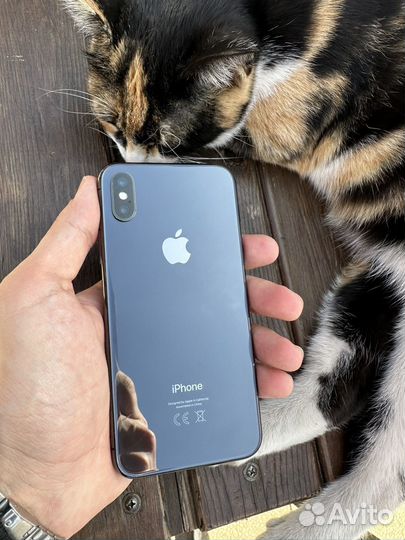 iPhone X, 64 ГБ