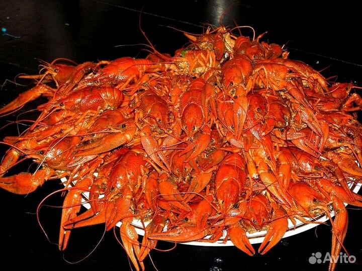 Раки вкуснейшие (живые). Варёные, готовые