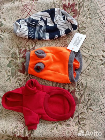 Кошачья одежда