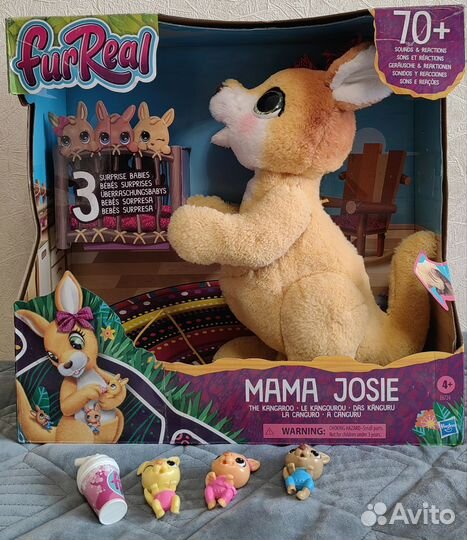 Кенгуру Джози