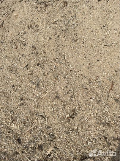 Шепа из под станка