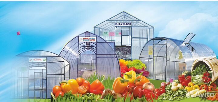 Теплицы на Бору