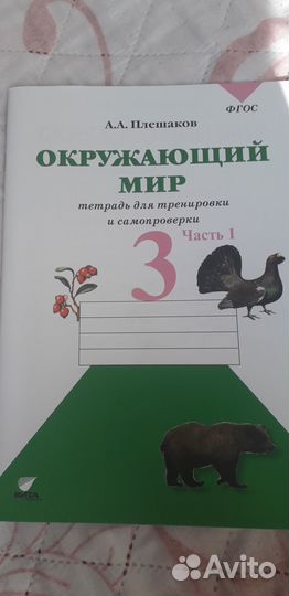 Окружающий мир 3 класс плешаков