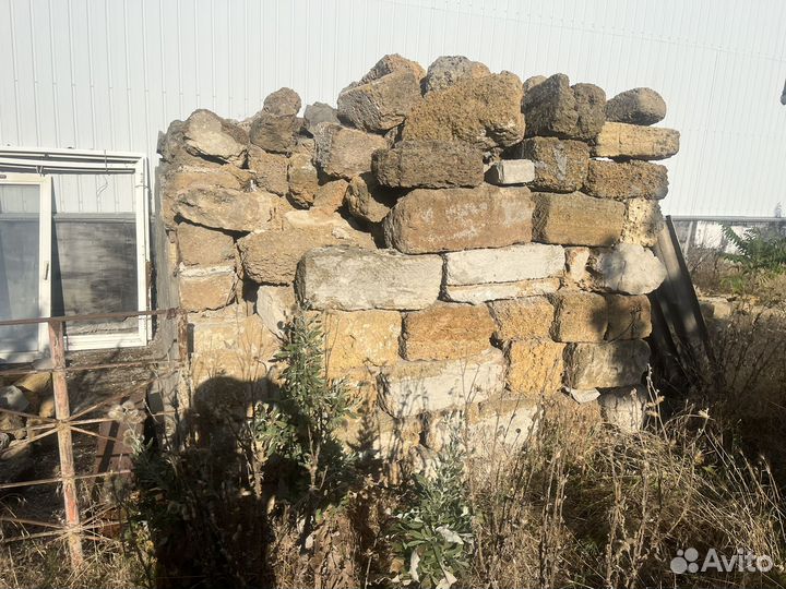 Ракушка бут бесплтно