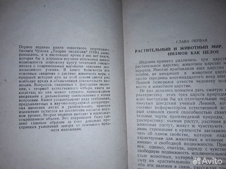 Чулок С.Д. Теория эволюции. 1937 г