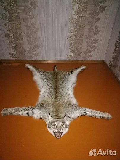 Шкура рыси (имитация)