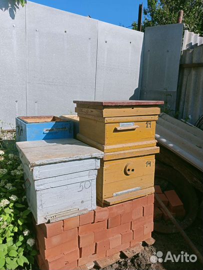 Ульи для пчел бу