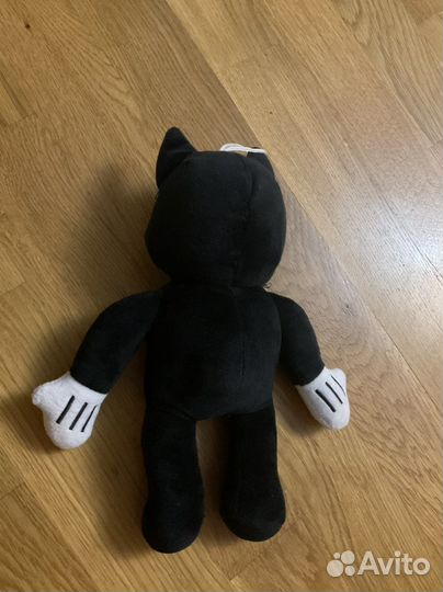 Кот новый