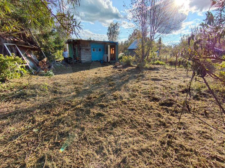 Участок 10,9 сот. (СНТ, ДНП)