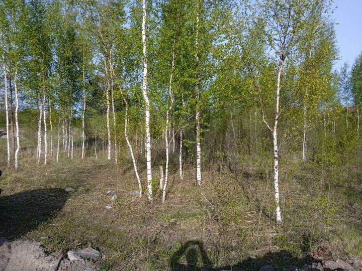Участок 12 сот. (ИЖС)