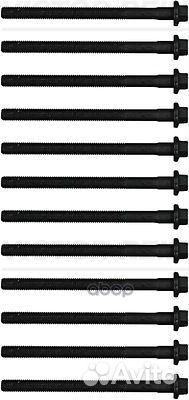 Комплект болтов головки блока 14-32152-02 victo