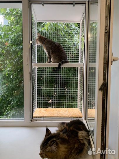 Кошка на окошке (балкон для выгула кошек)