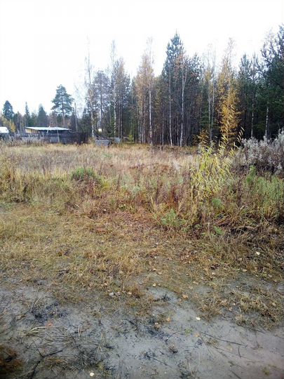 Участок 24 сот. (СНТ, ДНП)