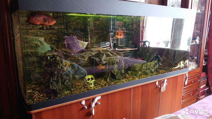 Аквариум в сборе с тумбой и фильтрами