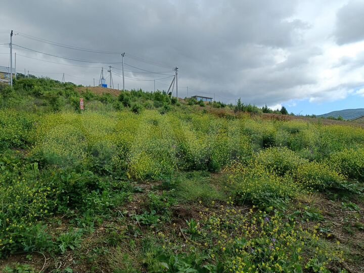 Участок 8 сот. (СНТ, ДНП)