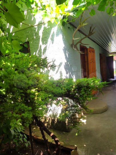 Комната 11 м², 1/1 эт.