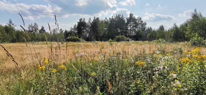 Участок 35 сот. (СНТ, ДНП)