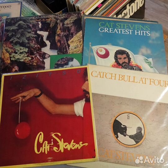 Boz Scags & Cat Steavens 16 LP US made