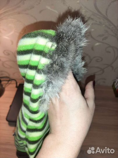 Костюм и аксессуары для маленькой собаки