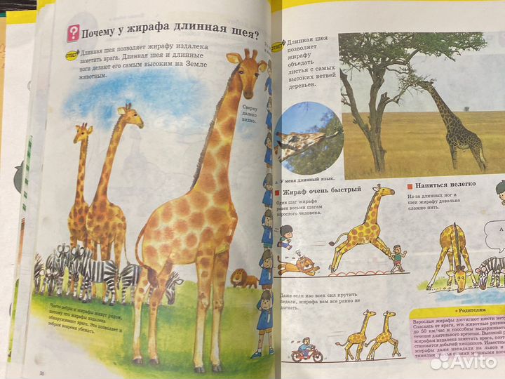 Деская книга