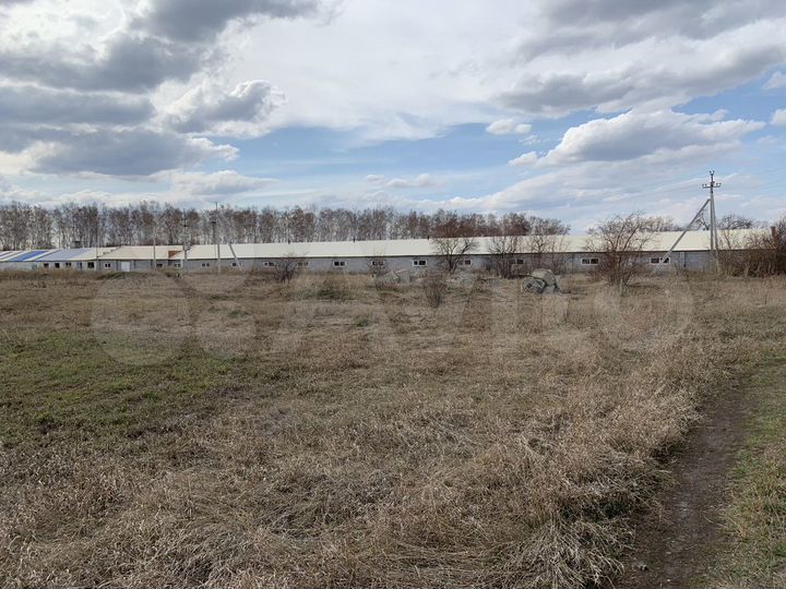 Ферма животноводческая, 1500 м²