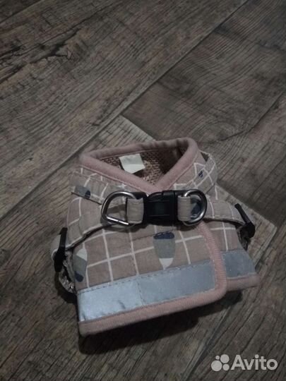 Шлейка для собак