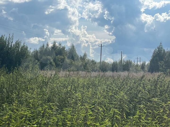 Участок 2,55 га (СНТ, ДНП)