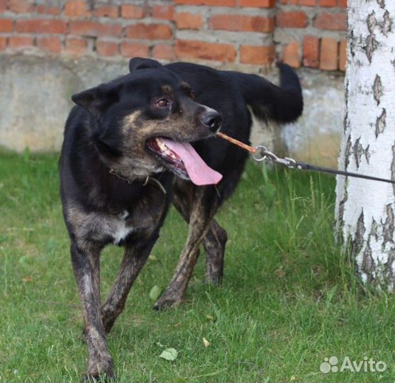 Последняя просьба дедушки