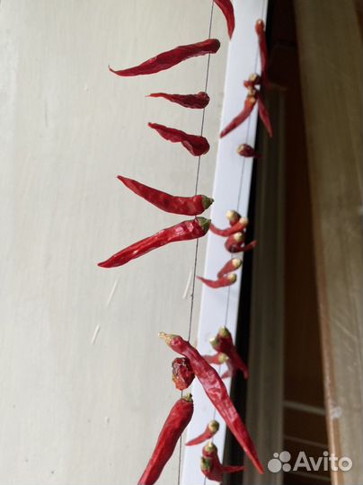 Перец острый