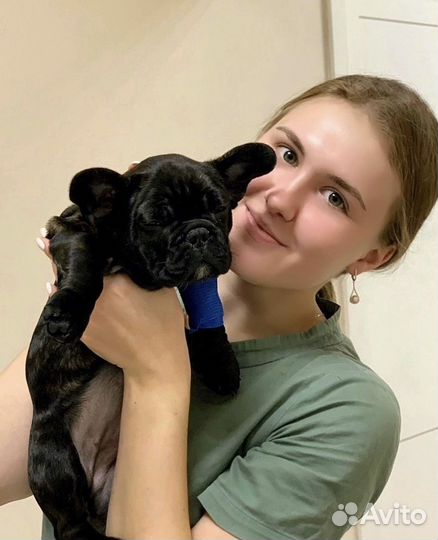 Передержка кроликов, грызунов, птиц