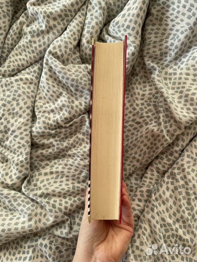 Книга Полубрат