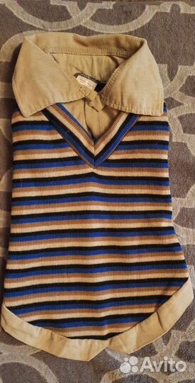 Одежда для собак