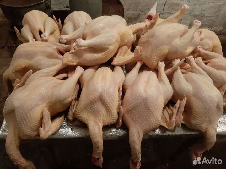 Продукты питания