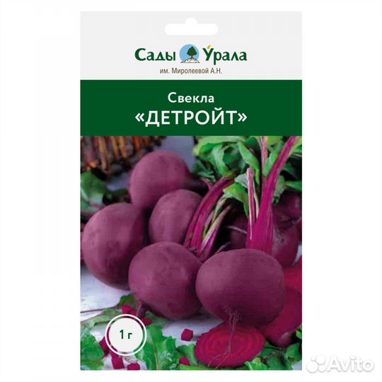 Свекла «Детройт» - семена питомника Сады Урала