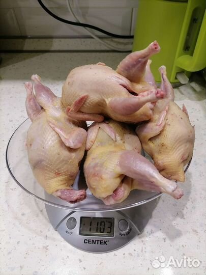 Мясо перепелов