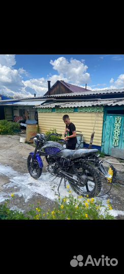 Рейсер тигр 150