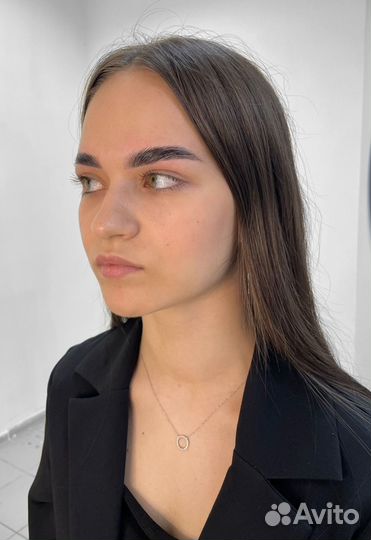 Мастер Бровист