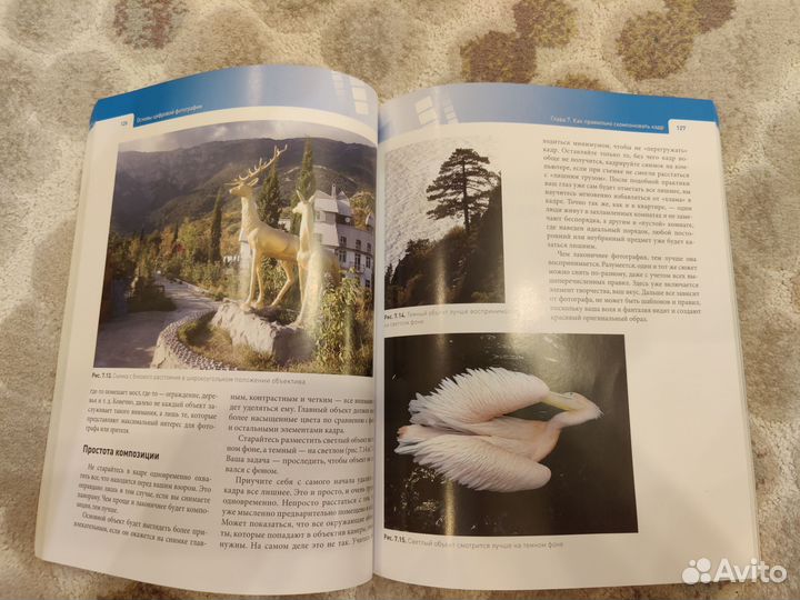 Основы цифровой фотографии. Артур Газаров