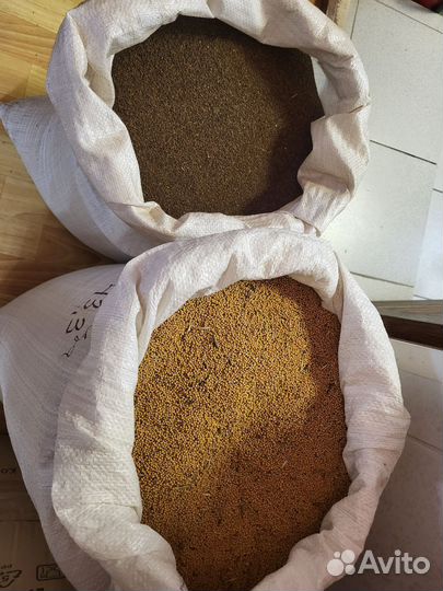 Горчица белая семена