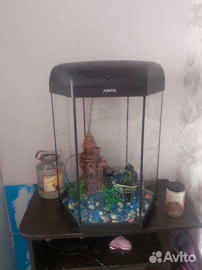 Аквариум