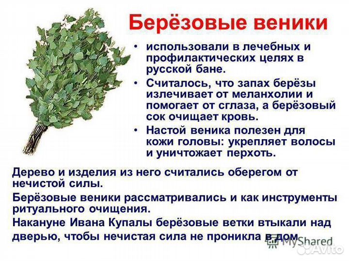 Веники для бани береза