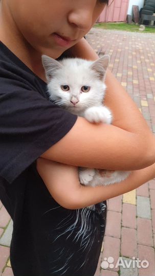 Малышка в дар