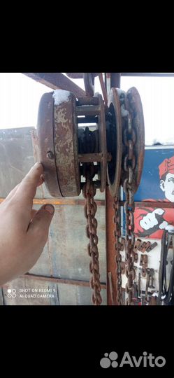 Талька цепная