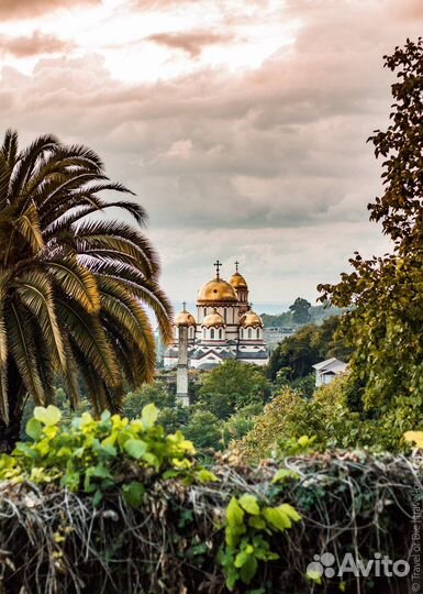Вип поездка, экскурсия в Абхазию