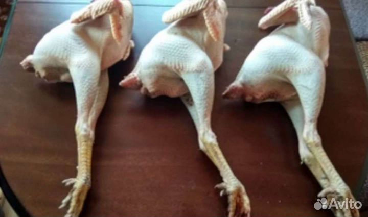 Мясо домашних молодых петухов